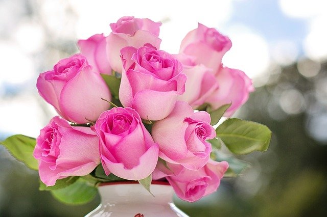 pink-roses-2191636_640 доставка букета роз