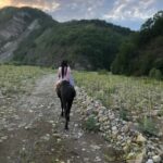 Конный клуб