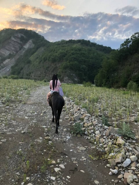 Конный клуб