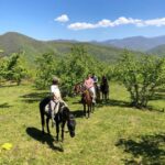 Конный клуб