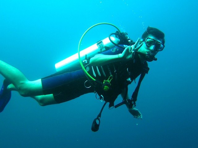 scuba-diver-261577_640 Дайвинг в Ростове