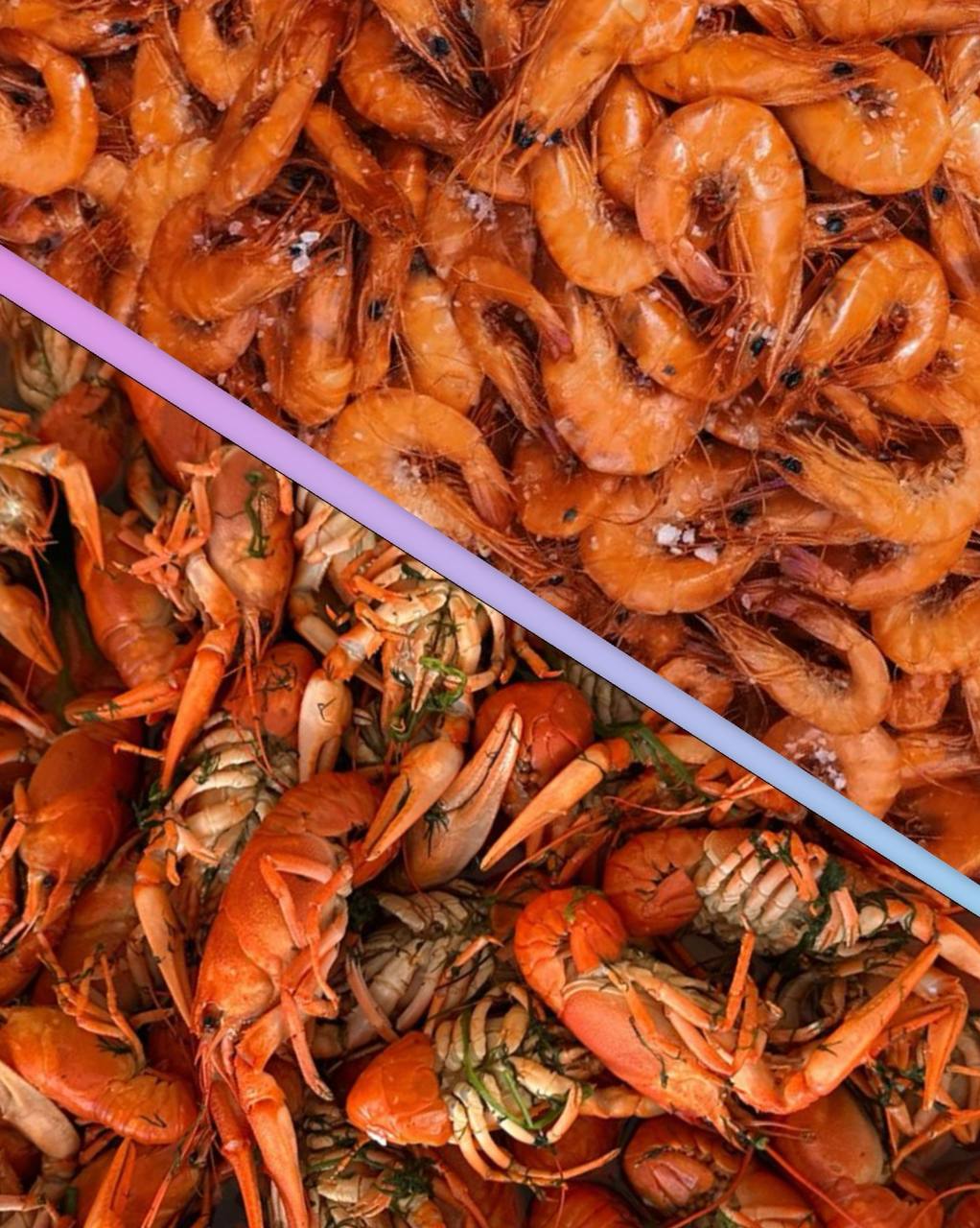 photo_2025-06-22_23-22-17