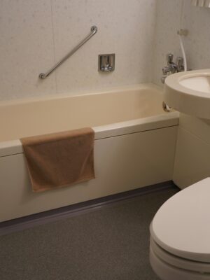 Ванна сантехника унитаз Ванна сантехника унитаз